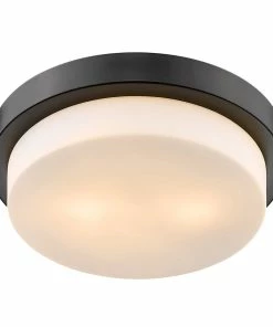 Golden Lighting Multi-Family Flush Mount American Farmhouse