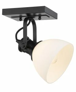 Golden Lighting Hines 1 Light Semi-Flush