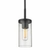Golden Lighting Transitional Looks Winslett Mini Pendant