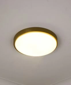 Golden Lighting Gabi Flush Mount American Farmhouse