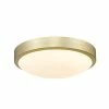 Golden Lighting Gabi Flush Mount American Farmhouse