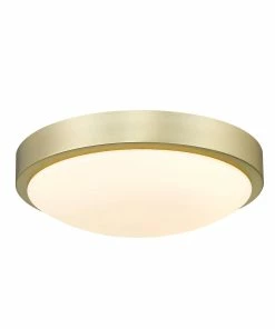 Golden Lighting Gabi Flush Mount American Farmhouse