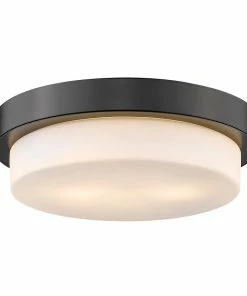 Golden Lighting Multi-Family Flush Mount American Farmhouse