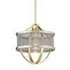 Brand new 🥰 Golden Lighting Colson Mini Pendant (with Shade) - Closeout 😀 2 Golden Lighting Colson Mini Pendant (with Shade) - Closeout