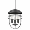 Golden Lighting Seaport 3 Light Pendant - Closeout