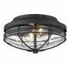 Golden Lighting Seaport Outdoor Flush Mount