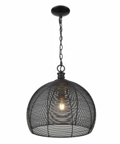 Golden Lighting Calypso Medium Pendant Transitional Looks