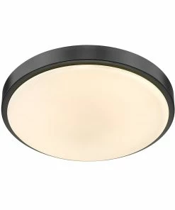 Golden Lighting Gabi Flush Mount American Farmhouse