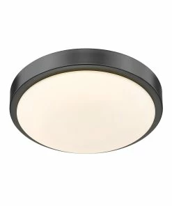 Cheap 🔔 Golden Lighting Gabi Flush Mount American Farmhouse ✨ 19 Golden Lighting Gabi Flush Mount American Farmhouse