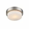 Golden Lighting Multi-Family Flush Mount