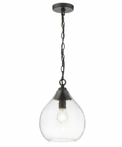 Golden Lighting Coastal Designs Ariella Small Pendant
