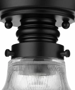 Golden Lighting American Farmhouse Clary Flush Mount