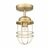 Golden Lighting Seaport Semi-Flush