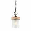 Golden Lighting Chatham Mini Pendant