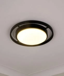 Outlet โ๏ธ Golden Lighting Astra Flush Mount ๐คฉ 12 Golden Lighting Astra Flush Mount
