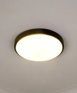 Golden Lighting Gabi Flush Mount American Farmhouse