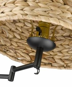 Golden Lighting American Farmhouse Eleanor 1 Light Articulating Wall Sconce