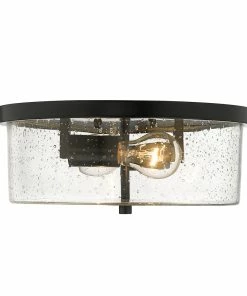 Golden Lighting American Farmhouse Rayne Flush Mount