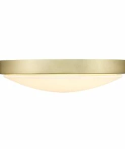 Golden Lighting Gabi Flush Mount American Farmhouse